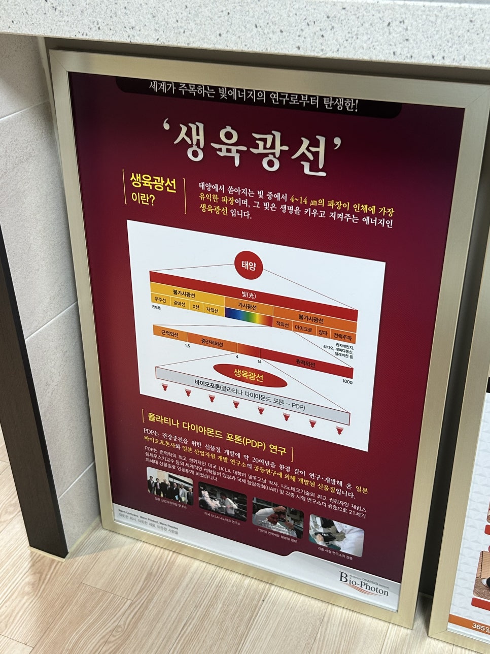 리온체온테라피 이미지