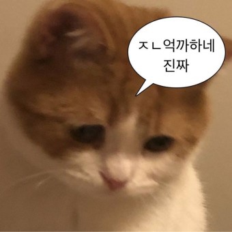 소못 이미지