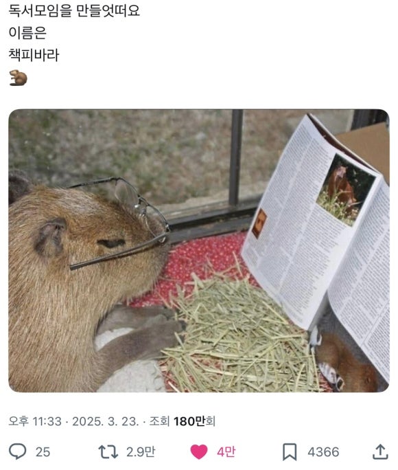 바라 이미지