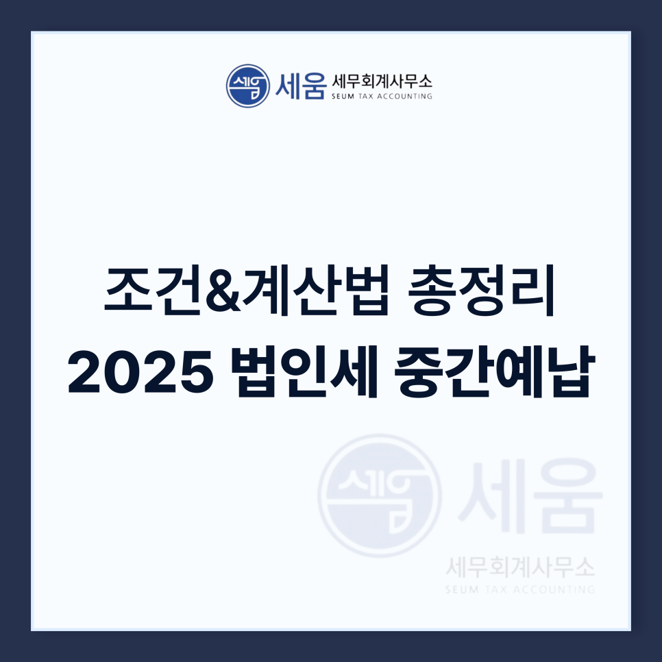 세움회계법인 이미지