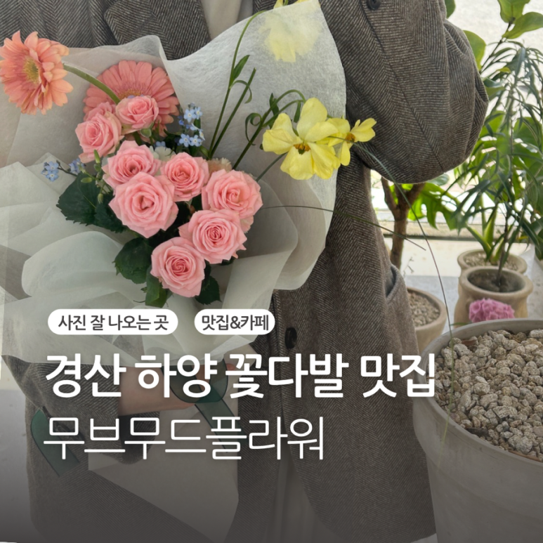 무브무드플라워 이미지