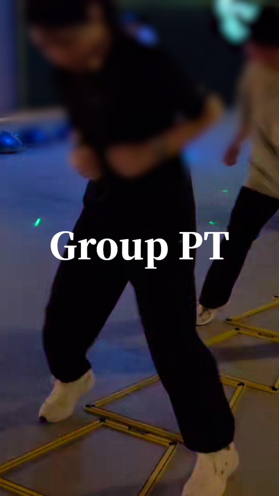 운동하는코끼리 이미지