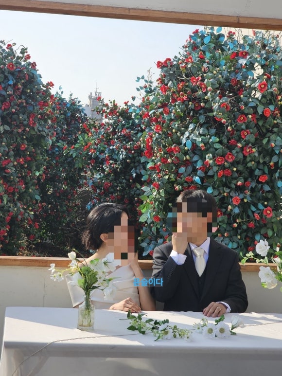 동백스튜디오 이미지
