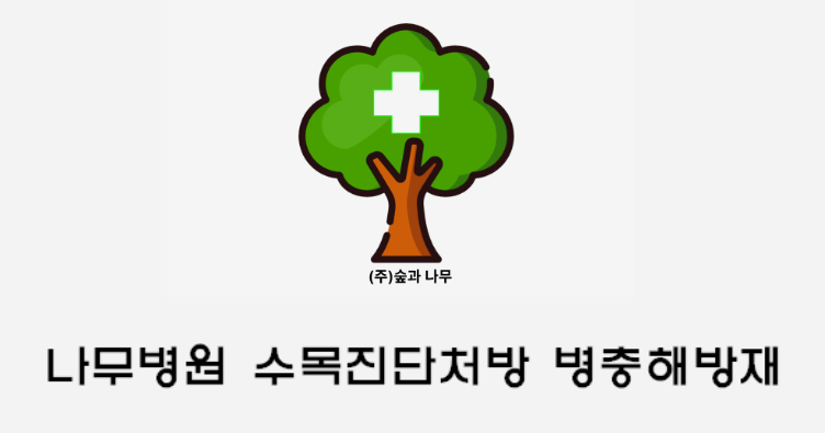 나무병원건강한숲 이미지