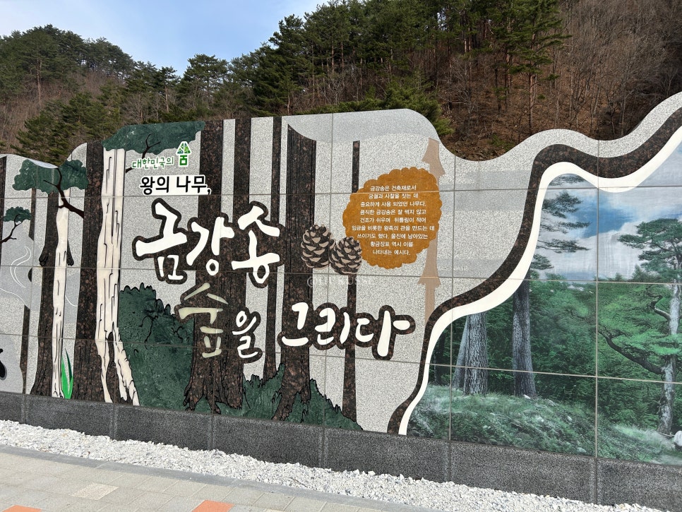 탐진어가 이미지