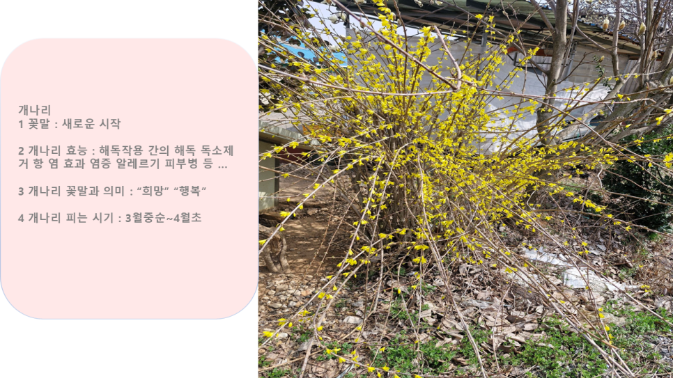 김포통진하이웨이 이미지
