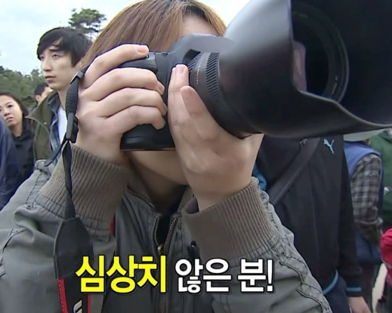 향기나무 이미지