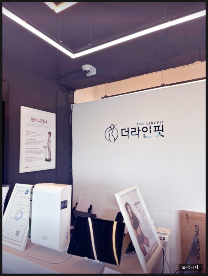 더라인 이미지