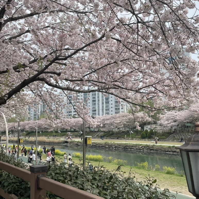 업타운댄스학원 이미지