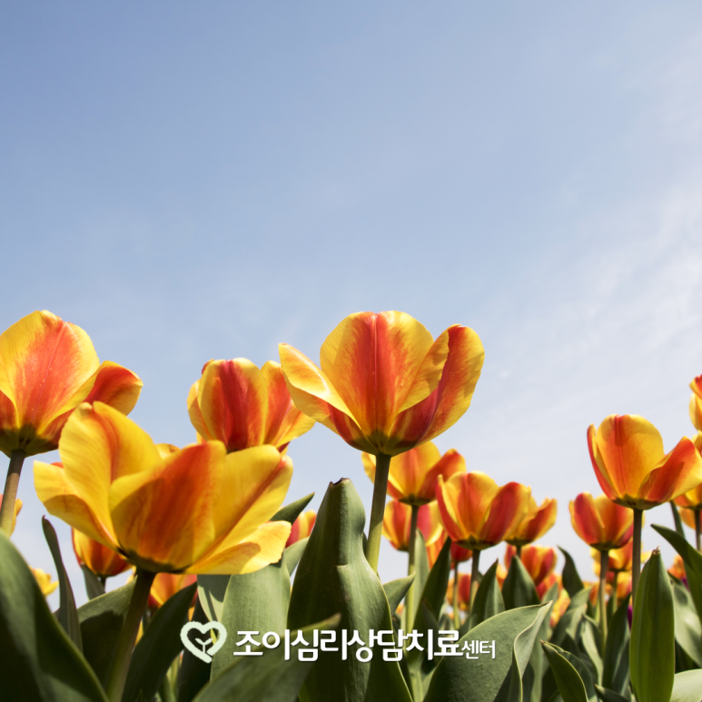 조이아동청소년상담센터 이미지