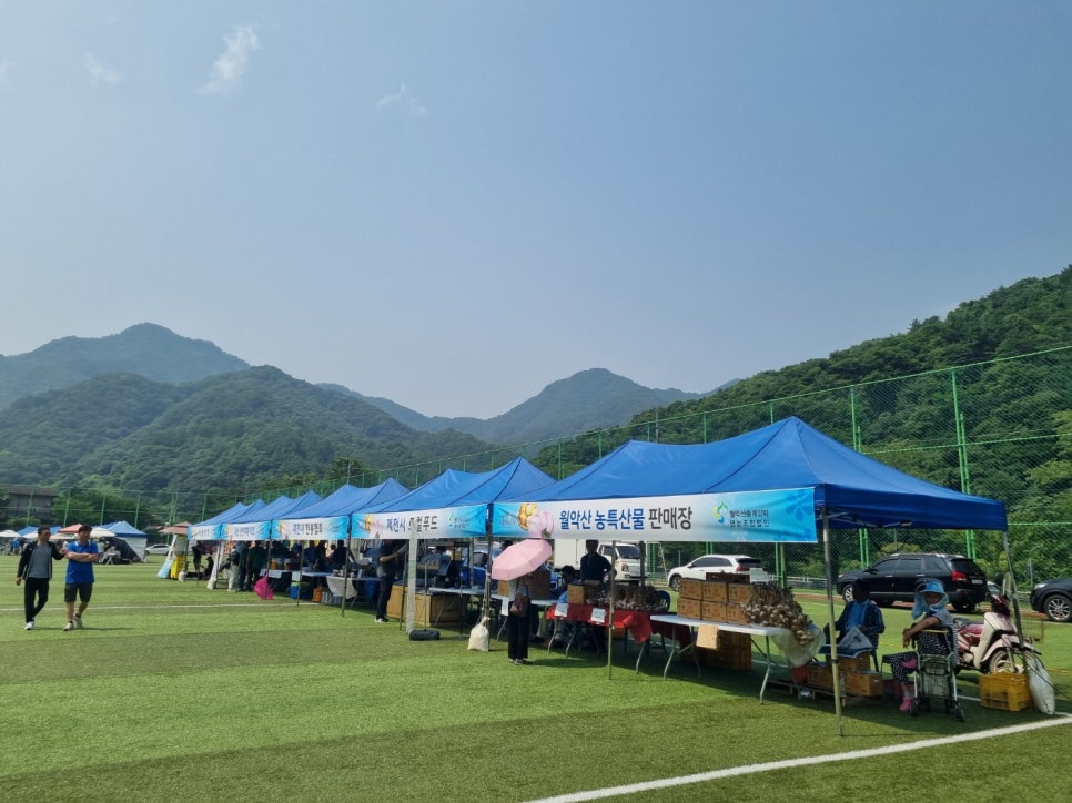 초록렌탈 이미지