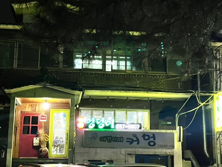 엉덩이막창 이미지