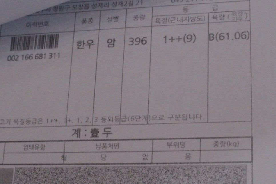 천우한우암소 이미지