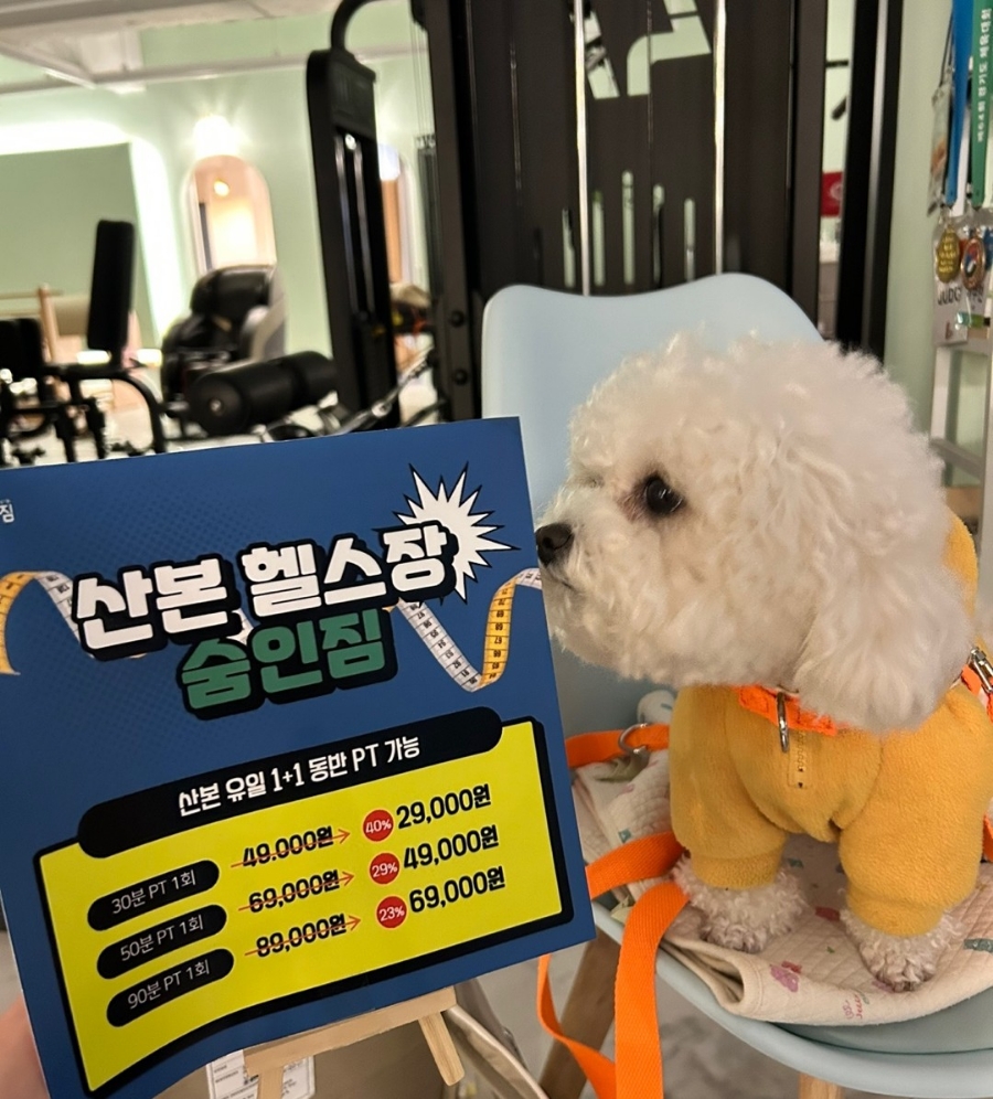숨in(인) 이미지