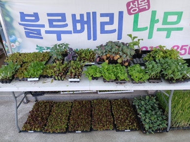 봉계농약사 이미지