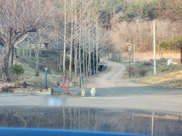 사단법인 한국천연염색 숨 이미지