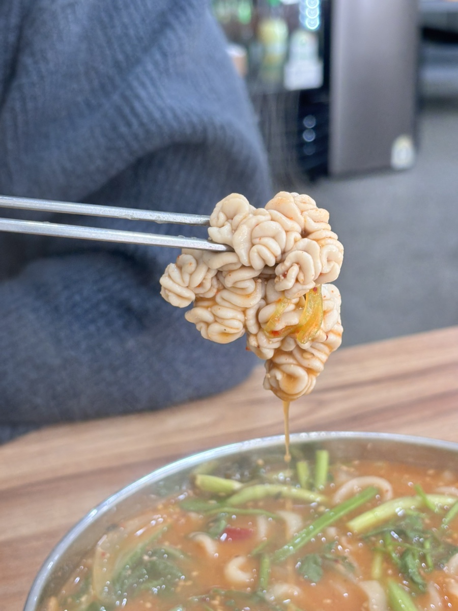 해품조개 이미지