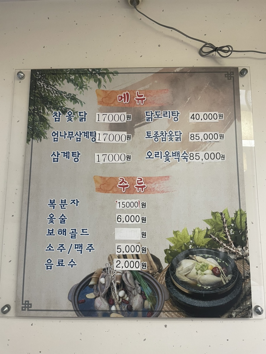 진품참옻닭 이미지