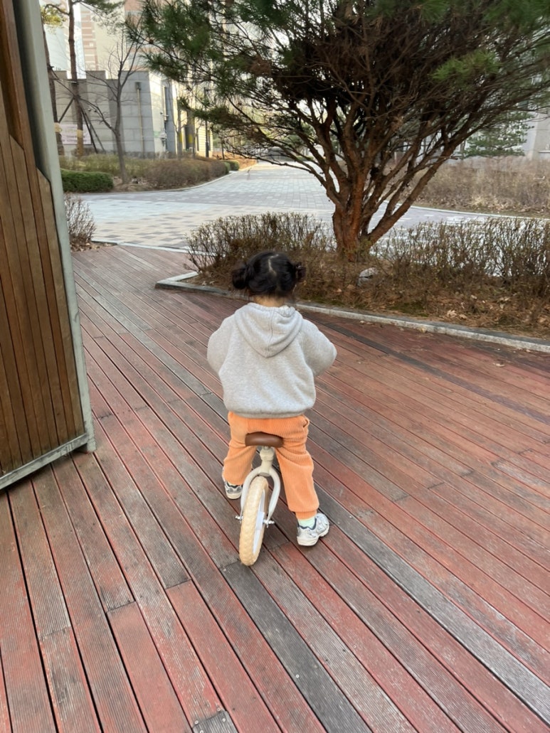 코아바이크 이미지