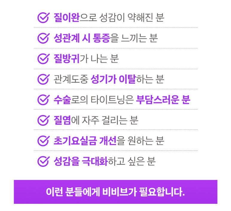 비비시스템 이미지