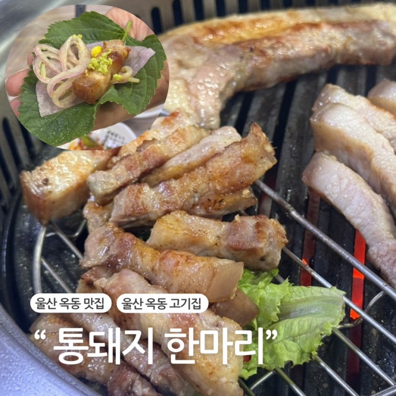 통돼지한마리 이미지