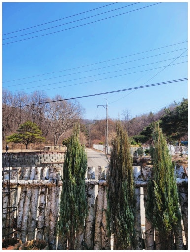 레드브릭101 이미지