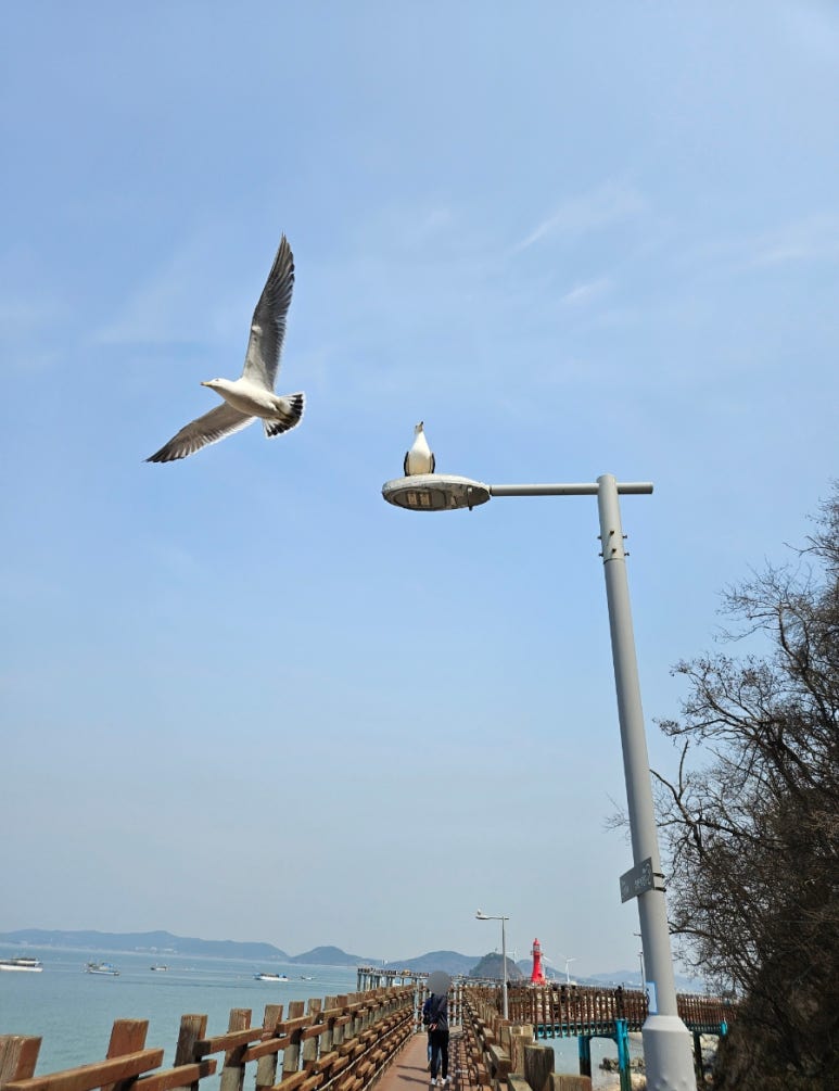끄적끄적 이미지