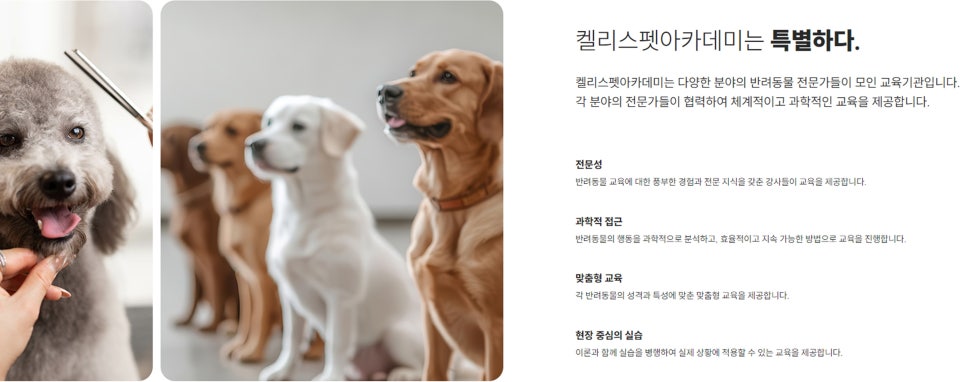 켈리스아트 이미지