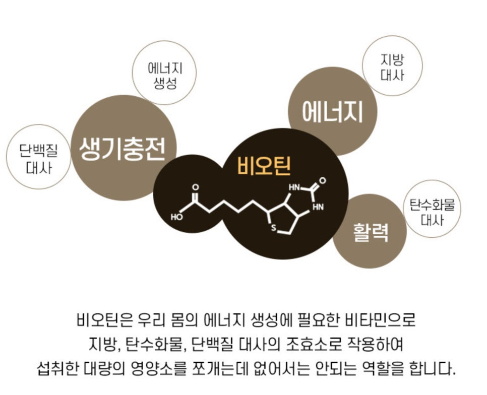 닥터트루 프리미엄 'WNB 유기농 비오틴'으로 시작하는 건강한 뷰티 루틴 이미지 14