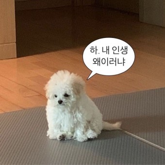 소못 이미지