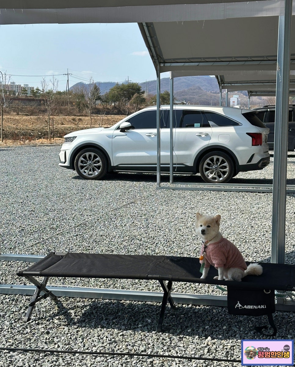 이른아침캠핑장 이미지