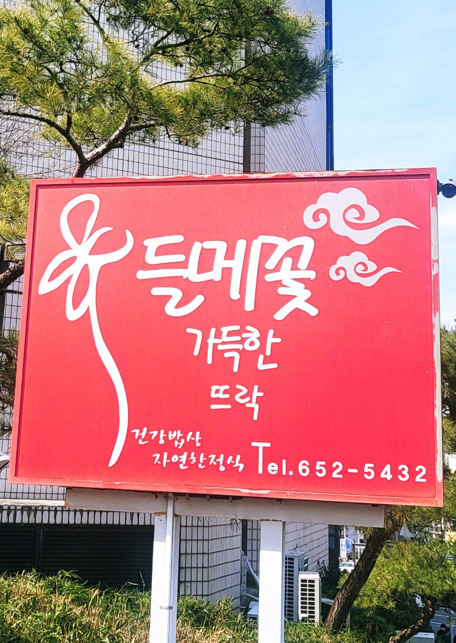 들메꽃 이미지
