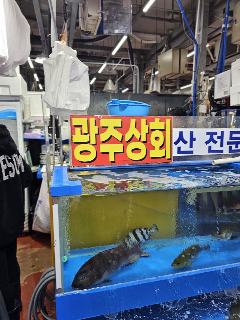 철마상회 이미지