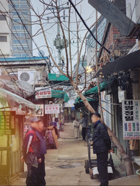 트래블랩소디 이미지