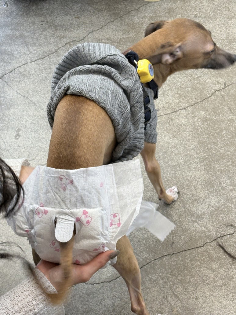 팅크 이미지