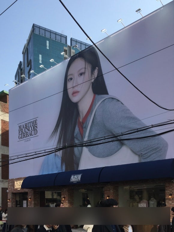 블루수비르 이미지