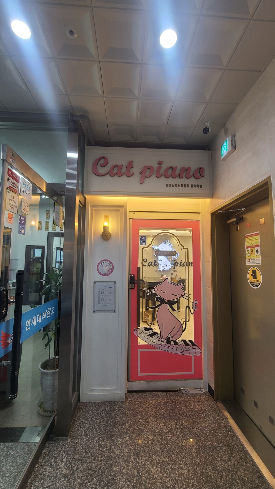 피아노치는고양이학원 이미지