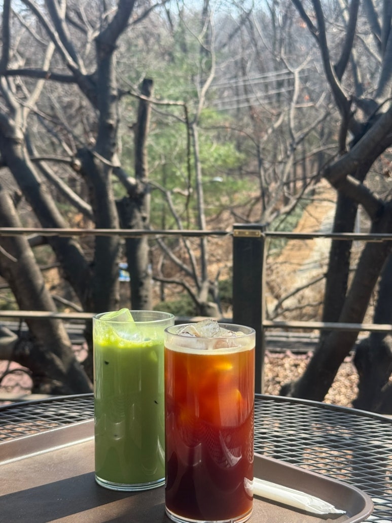 엘시네 이미지