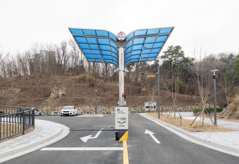 그린숲케어 이미지