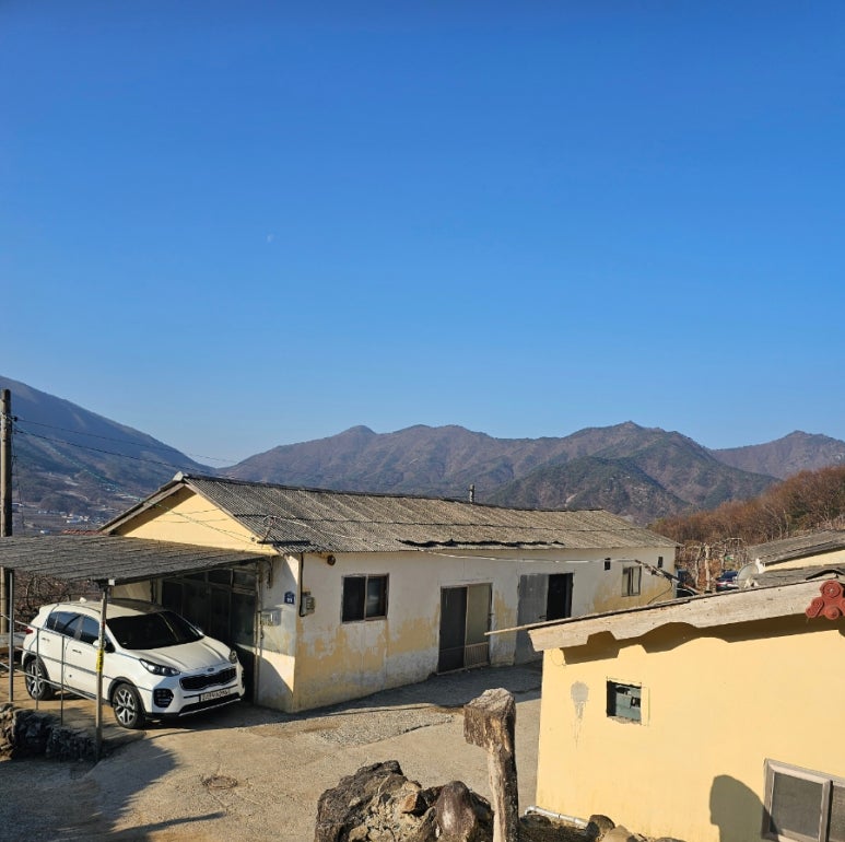 돌콩해물쟁반짜장 이미지