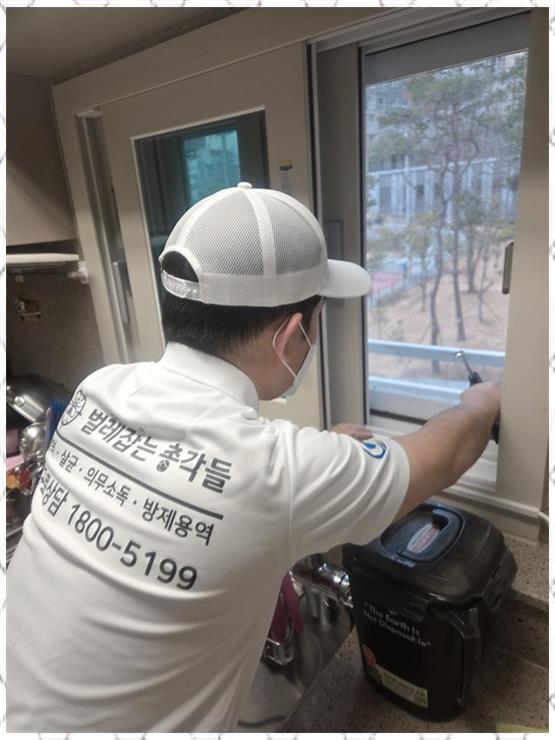 부산총각 이미지