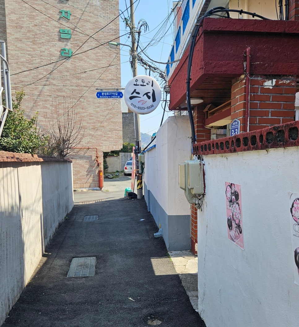 오토리스시 이미지