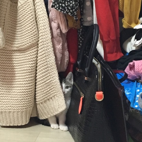 또와유흥부자옛날통닭 이미지