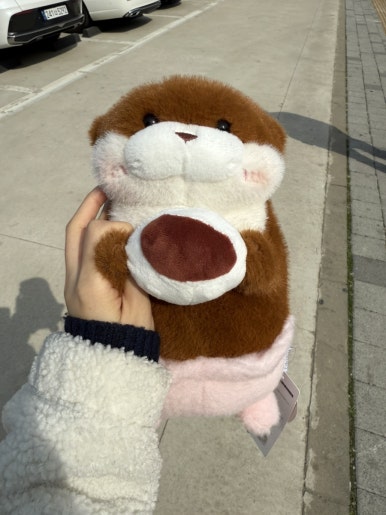 구읍뱃터미니오락실 이미지