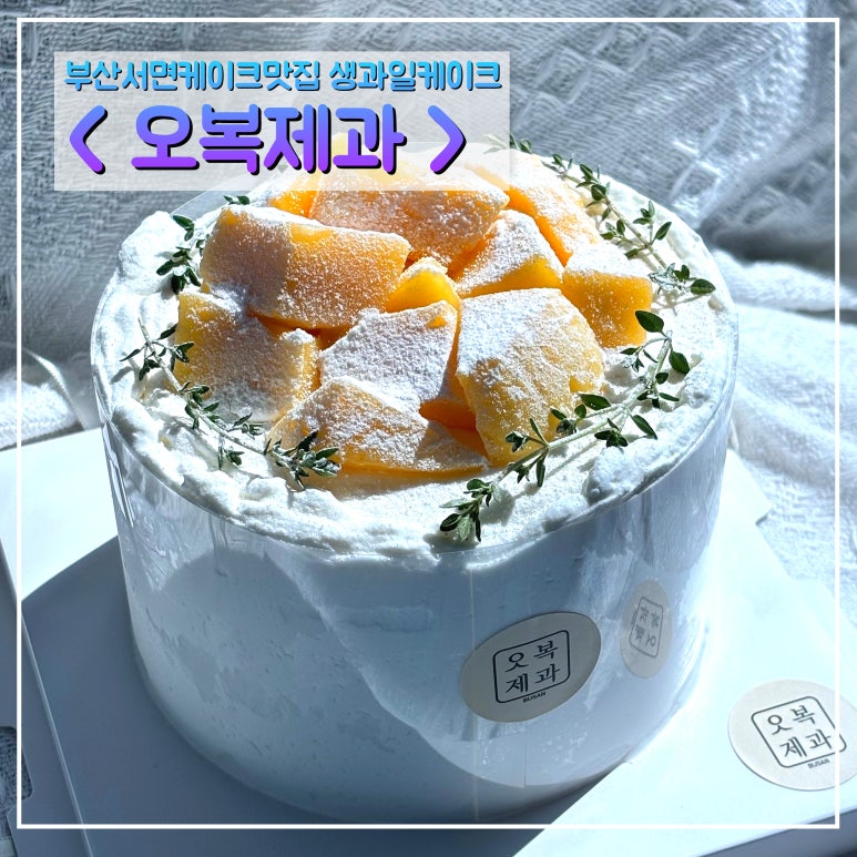 오복제과 이미지