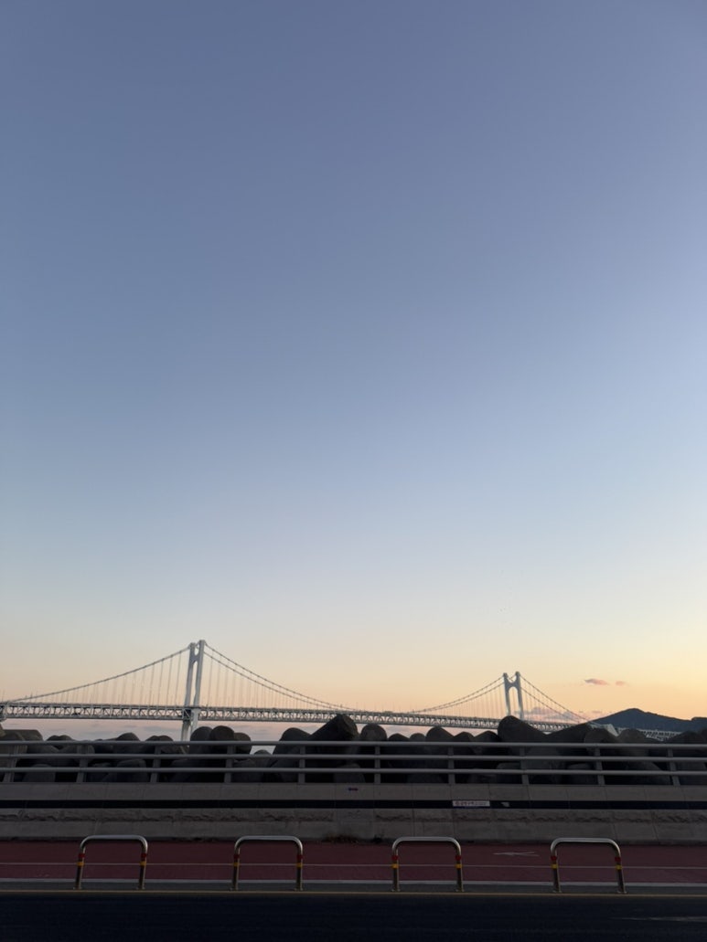 블루마켓 이미지