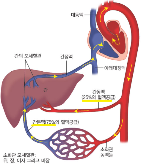 정우신약(주) 이미지