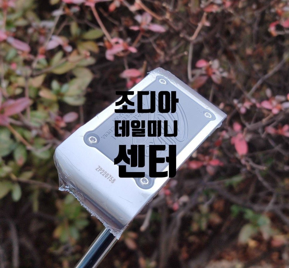 TDG골프피팅센타 이미지