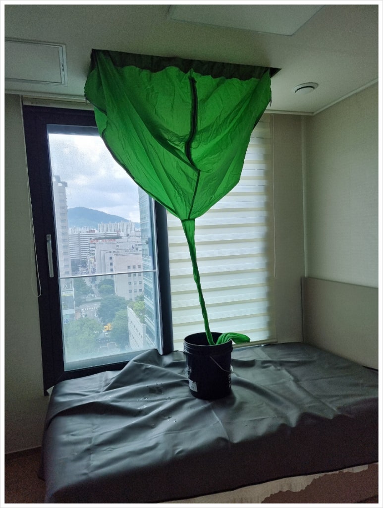 엄지청소 이미지
