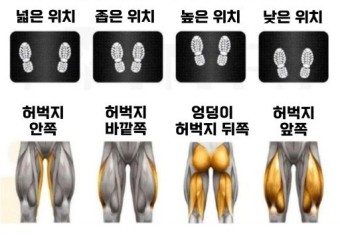 레드짐 이미지